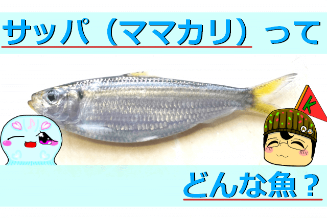 Thumbnail of post image 187